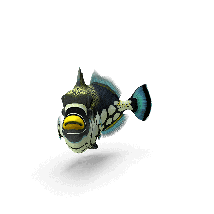fish112 from The Plus Addons for Elementor