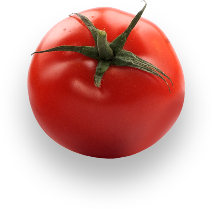 Tomato front row background from the plus addons for elementor