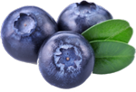 blueberries 1 The Plus Addons for Elementor