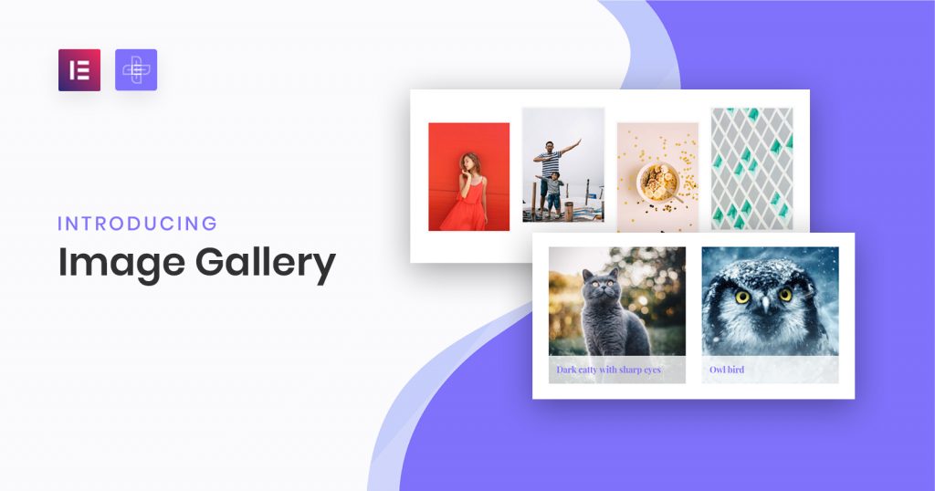 Image Gallery with Category Filters for Elementor