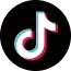Tiktok 1 from The Plus Addons for Elementor