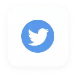 Twitter from The Plus Addons for Elementor