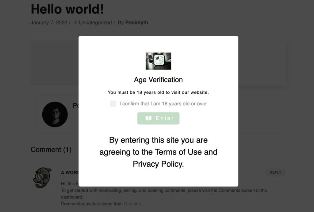 age verification example 2 from The Plus Addons for Elementor