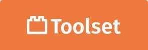Toolset 1 custom fields display condition from the plus addons for elementor