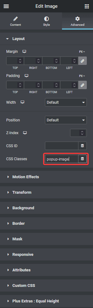 Image widget class