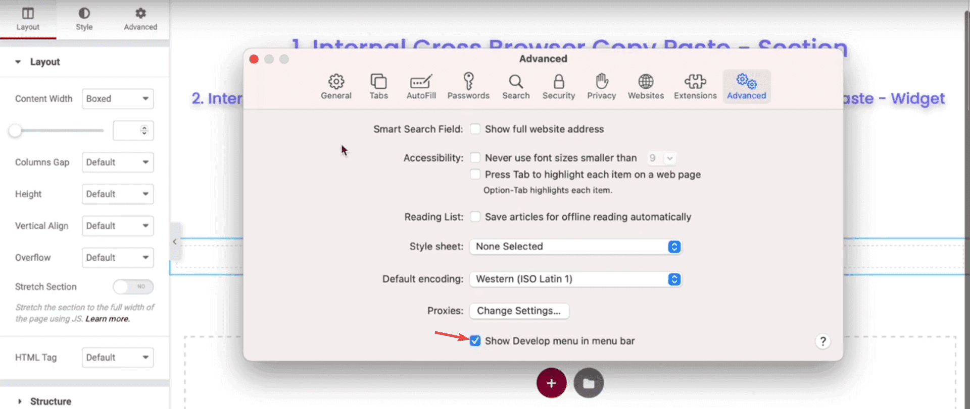 safari advanced settings | The Plus Addons for Elementor Safari advanced settings