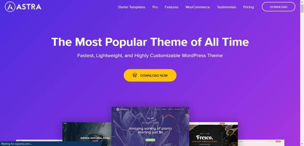Astra Theme Best 5 Free Elementor Themes (with Header & Footer Builder) from The Plus Addons for Elementor