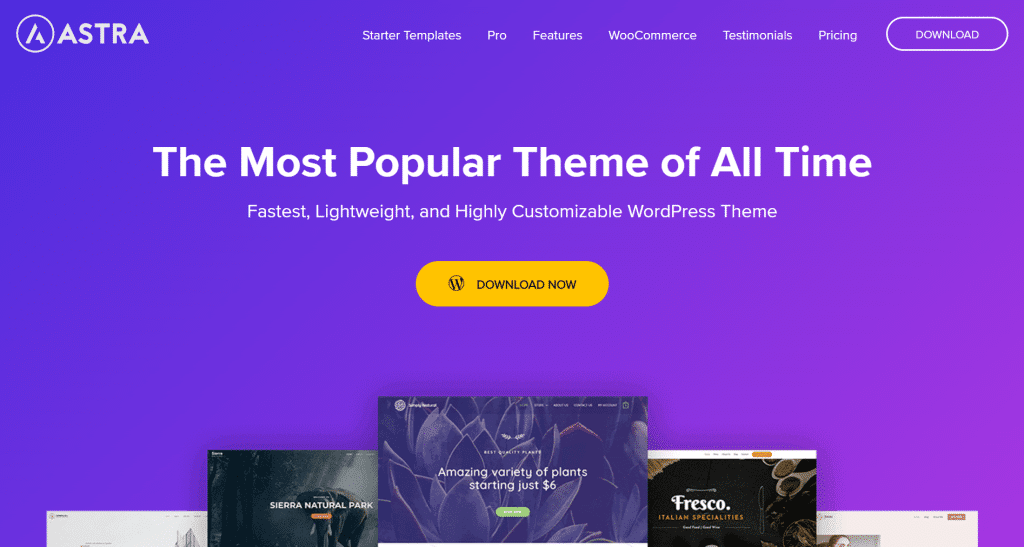 Astra WP Theme Best Hello Elementor Theme Alternatives from The Plus Addons for Elementor