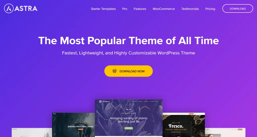 Astra wp theme 5 best hello elementor theme alternatives from the plus addons for elementor