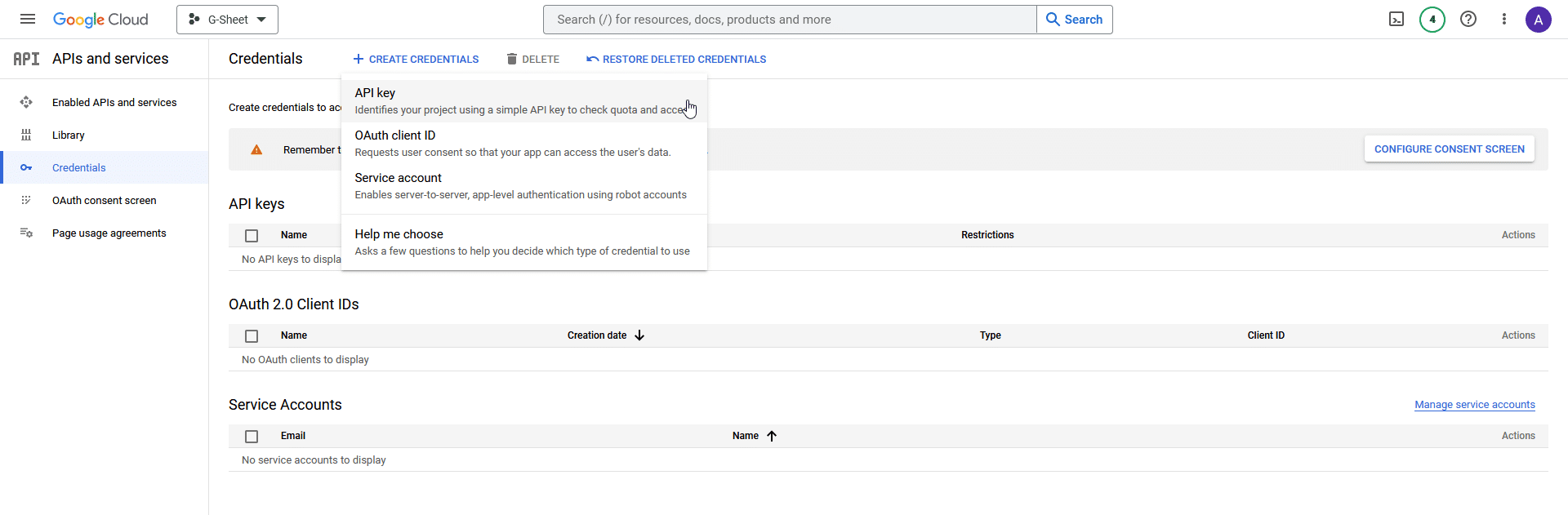 Google api key 5