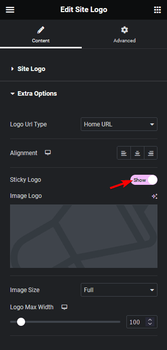 Site logo sticky logo