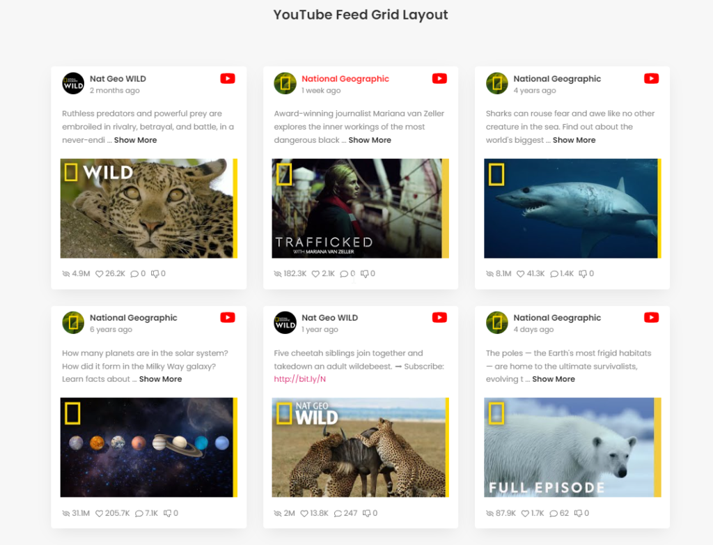Youtube feed grid layout demo 6 best youtube plugins for wordpress [get more views] from the plus addons for elementor