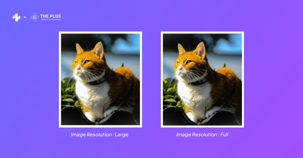 Image resolution large vs full how to fix blurry images in elementor [solved] from the plus addons for elementor