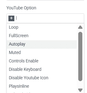Autoplay options and more