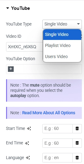 Further youtube type options