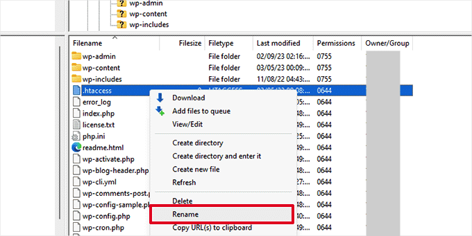 Rename .htaccess file | The Plus Addons for Elementor Rename. Htaccess file how to fix 500 internal server error in wordpress from the plus addons for elementor
