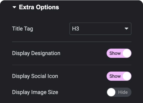 Title tag display controls team members for elementor [carousel, grid, & more layouts] from the plus addons for elementor