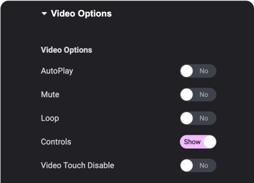 Controls for self hosted video video player widget for elementor [selfhost, youtube & vimeo] from the plus addons for elementor