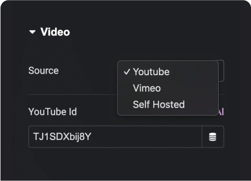 Source video from youtube vimeo or selfhost video player widget for elementor [selfhost, youtube & vimeo] from the plus addons for elementor