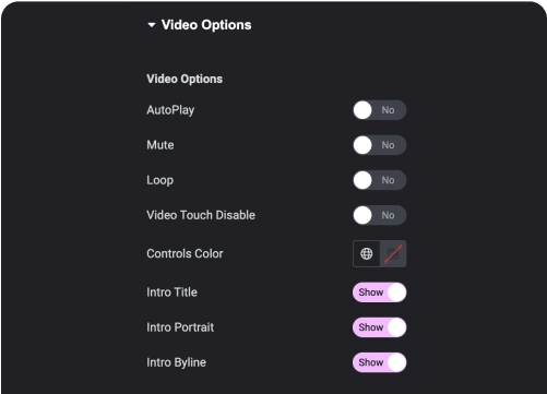 Video player controls for vimeo video player widget for elementor [selfhost, youtube & vimeo] from the plus addons for elementor