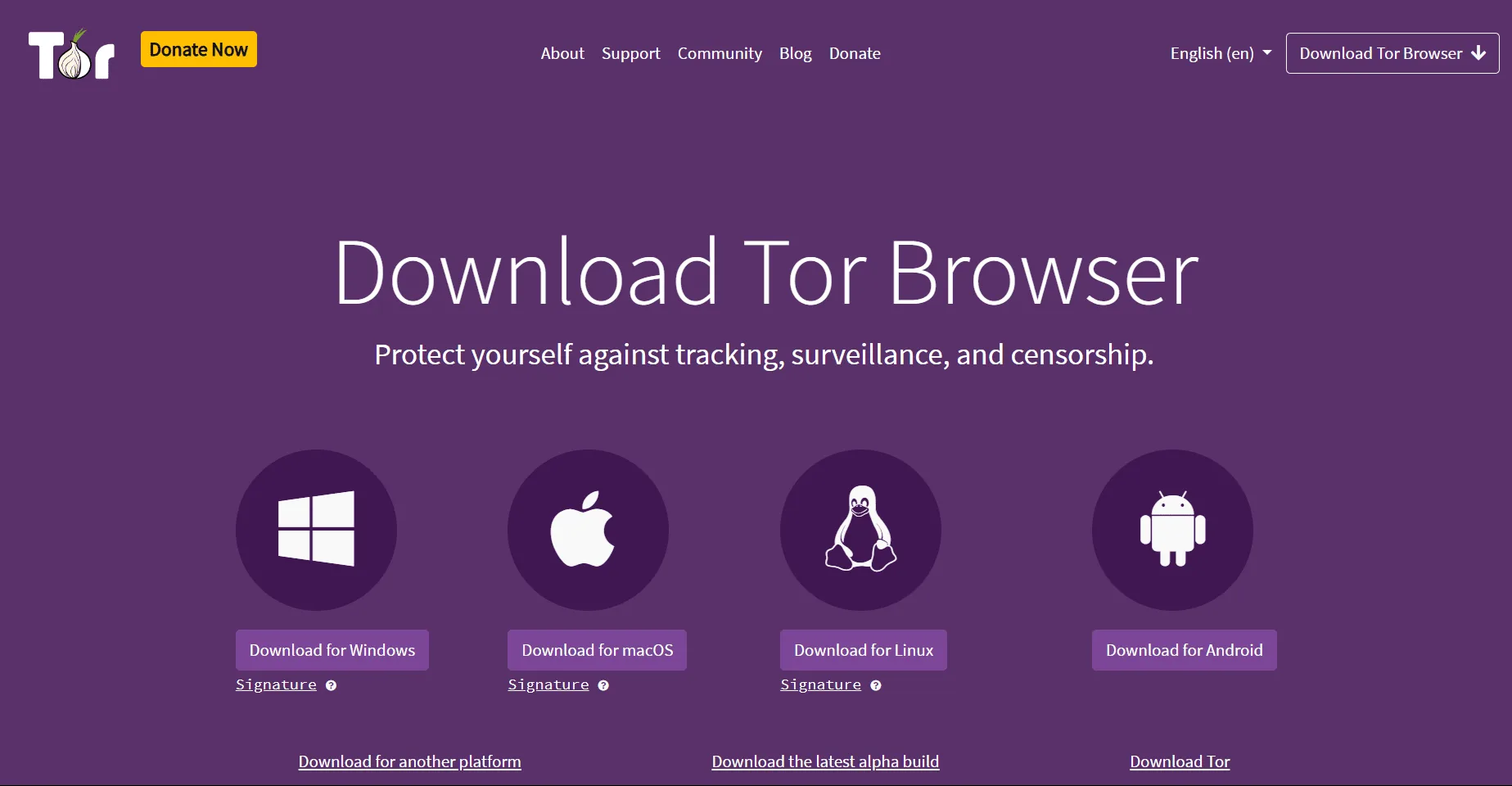 Using tor browser