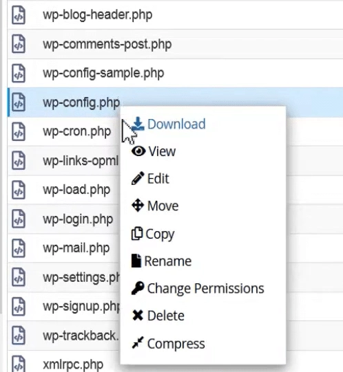 Update the wp config file how to fix wordpress theme file editor missing issue from the plus addons for elementor