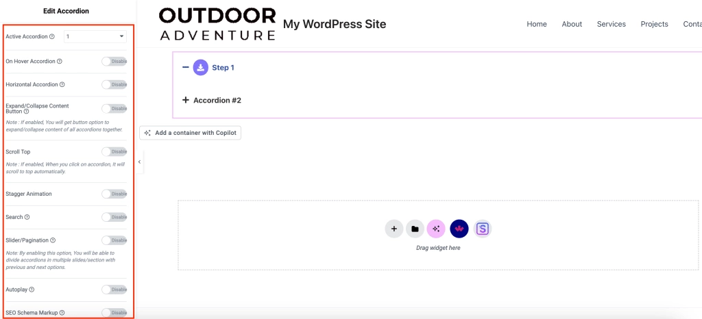 Special options how to add accordion in wordpress from the plus addons for elementor