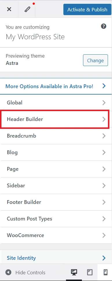 Opening the wordpress customizer from appearance customize