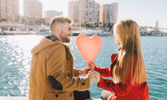 Honeymoon packages vertical toggle mega menu widget for elementor from the plus addons for elementor