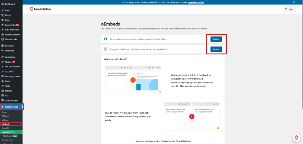 Oembed options | The Plus Addons for Elementor Oembed options how to fix facebook and instagram oembed issue in wordpress from the plus addons for elementor