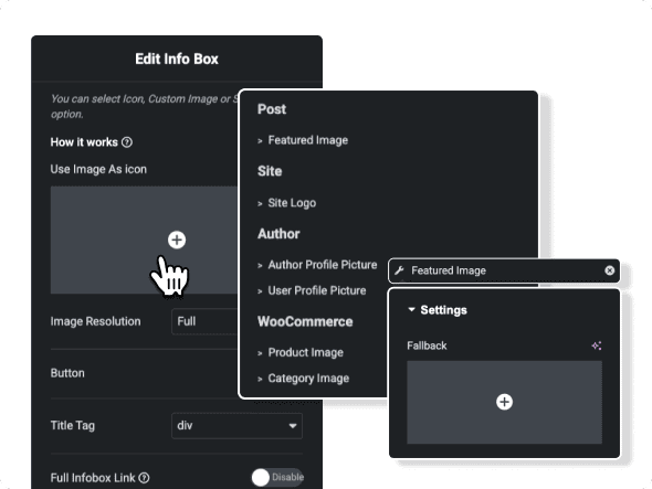 Show dynamic fields image custom fields visibility conditional rules elementor from the plus addons for elementor