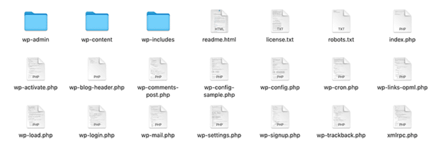 WordPress root directory | The Plus Addons for Elementor Wordpress root directory how to find root directory of wordpress website from the plus addons for elementor