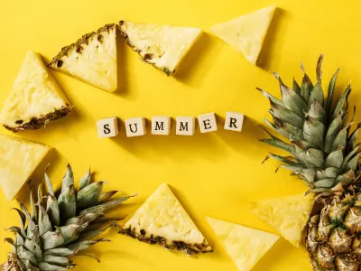 Summer horizontal mega menu widget for elementor from the plus addons for elementor