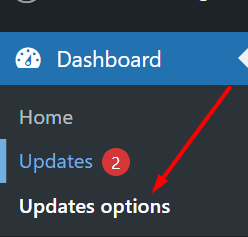 Go to updates options how to force check wordpress plugin updates from the plus addons for elementor