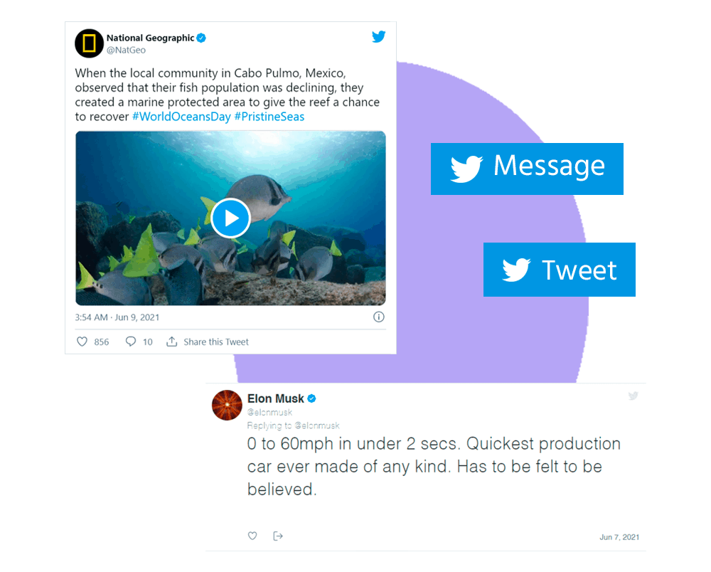 Twitter Embed 1 | The Plus Addons for Elementor Twitter embed 1 social embed for elementor from the plus addons for elementor