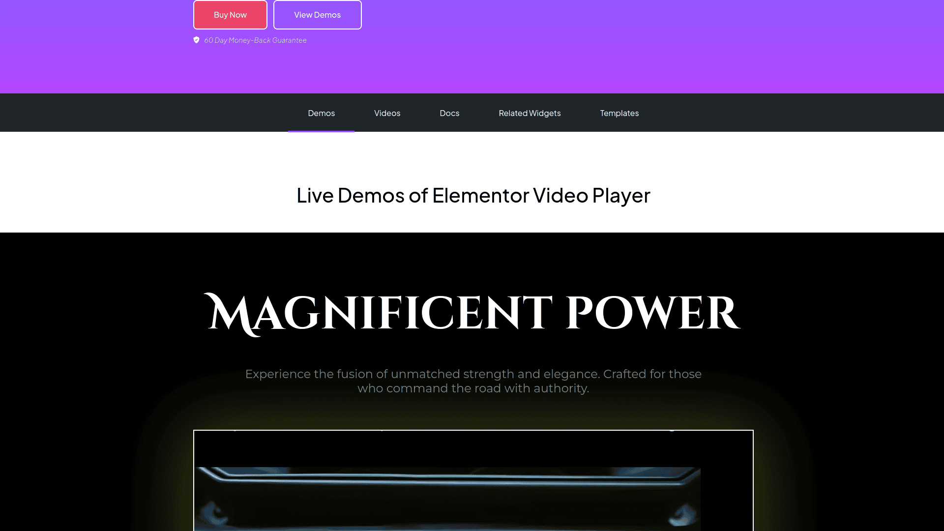Tpae video player demos 5 best wordpress video player plugins for elementor from the plus addons for elementor