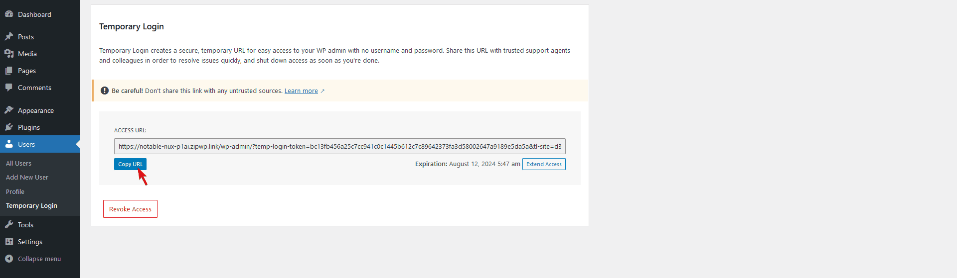 Temporary login copy link