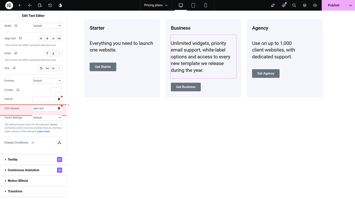 The css classes field on the advanced tab of a text editor widget with the class plan-text