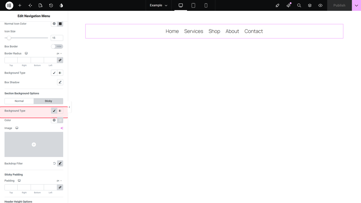 Background type on the sticky tab of section background options