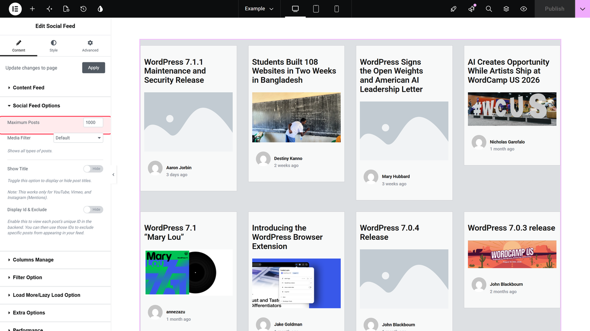 Social feed options: maximum posts, media filter, show title and display id and exclude.