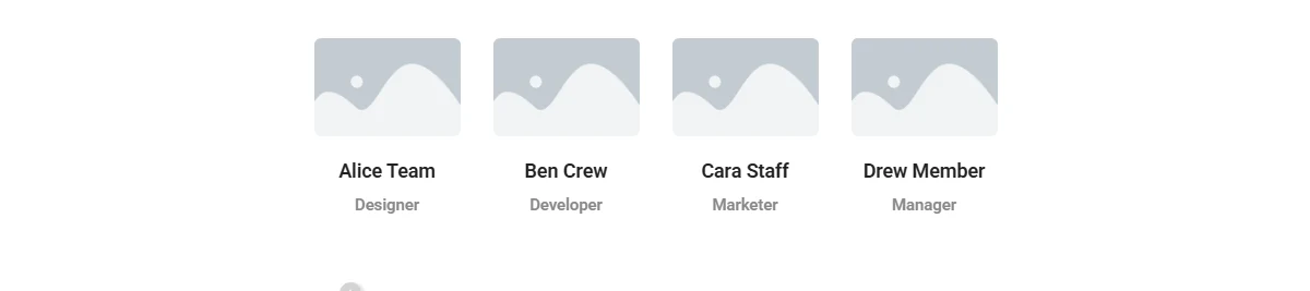 Team Member Listing Widget Settings Overview Carousel layout.