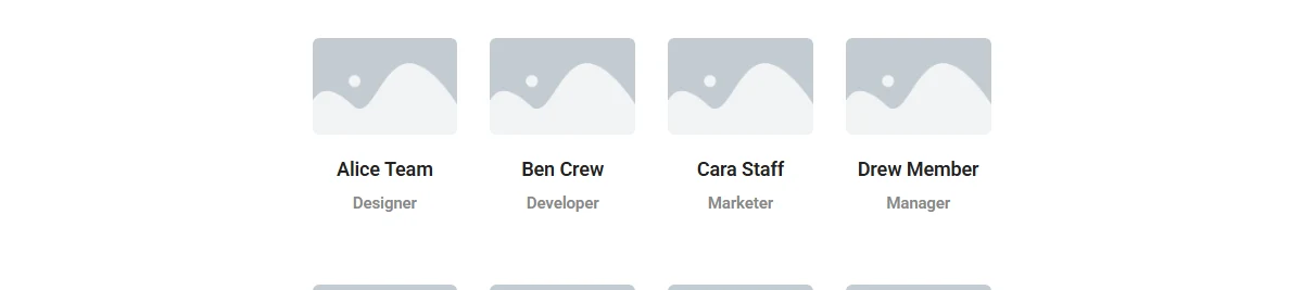 Team Member Listing Widget Settings Overview Grid layout.