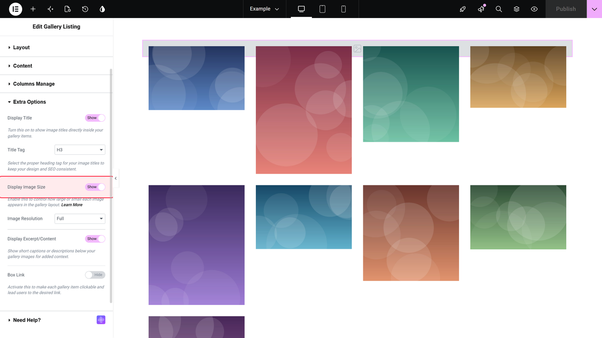 How to Make Elementor Image Gallery of the Same Size in Grid? The display image size toggle switched on in content > extra options