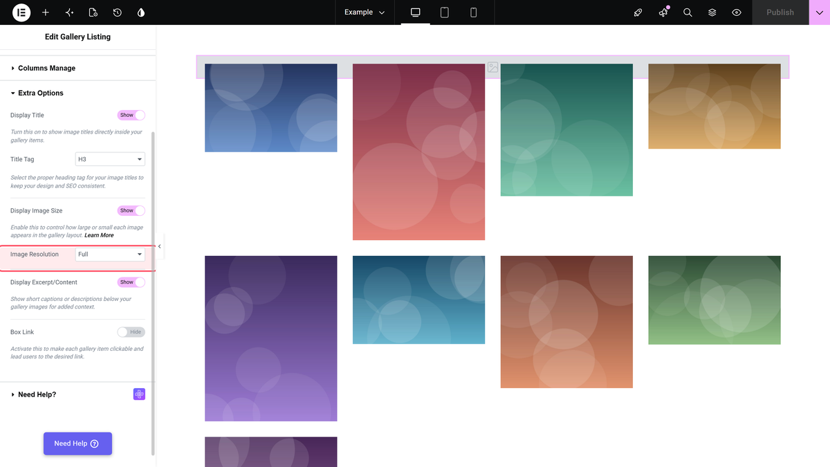 How to Make Elementor Image Gallery of the Same Size in Grid? The image resolution dropdown in content > extra options, set to a fixed size