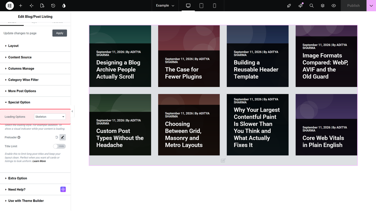 Loading options in the special option section of the blog listing widget