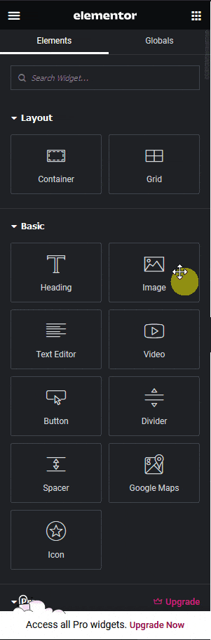 How to Fix Unable to Find The Plus Addons for Elementor Widget in Elementor Editor? Widget not showing